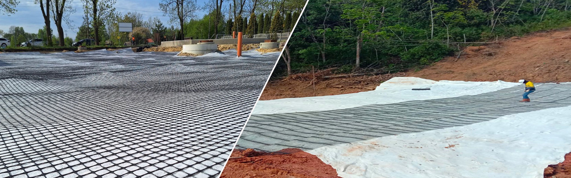 Geogrid