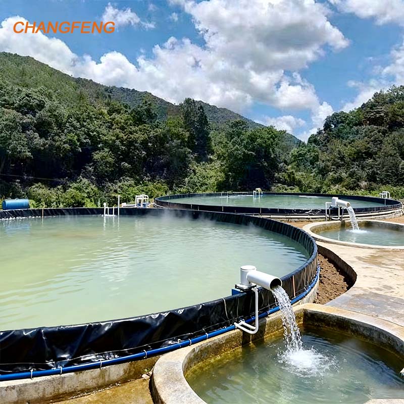 HDPE Geomembranes: The Proven 